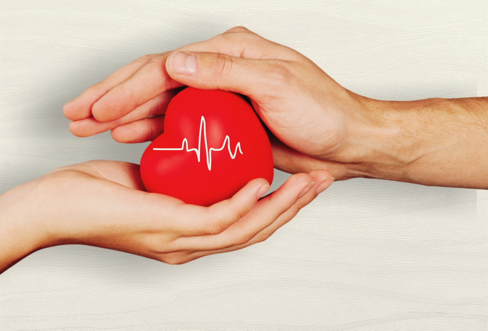 Heart Health Support