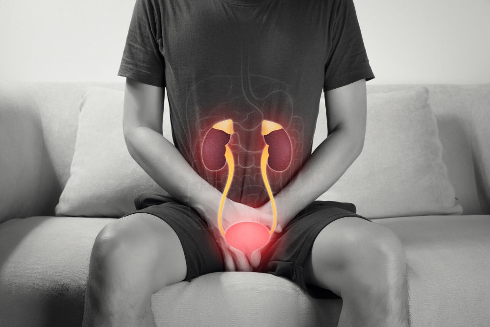 Kidney & Urinary Health
